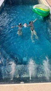 Πισίνα στο ή κοντά στο By Osibov Silverfish & Goldenfish