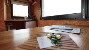 a toy frog sitting on top of a wooden table at eco lodges of Mont Bernanchon in Mont-Bernenchon