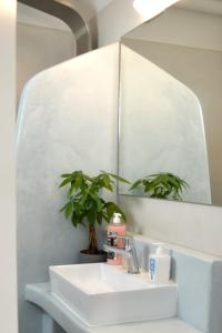 lavabo con espejo y planta en Helen Apartment, en Ermoupoli