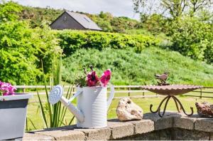 a vase with flowers in it sitting on a wall at Carnbore House BnB in Bushmills