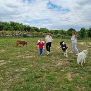 three women and a child walking in a field with cows at Uszate Ranczo in Rybna +14 photos