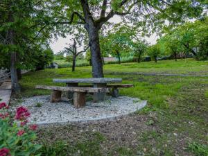a park with a bench next to a tree at Ca di Borra - Orto Bio e Piscina in Rofelle