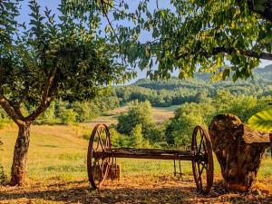 a wooden bench sitting under a tree in a field at Ca di Borra - Orto Bio e Piscina in Rofelle