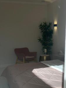 ein Schlafzimmer mit einem Bett, einem Stuhl und einer Pflanze in der Unterkunft Irm Studio in Quai