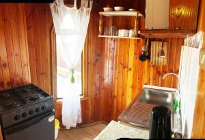 Kuchyň nebo kuchyňský kout v ubytování Cabañas y Hostal Isla Mágica