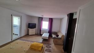 Телевизор и/или развлекательный центр в Iris studio spacious apartment