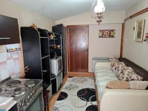 a living room with a couch and a stove at Vila Petrov in Lukavica