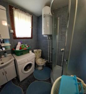 a bathroom with a toilet and a washing machine at Vila Petrov in Lukavica