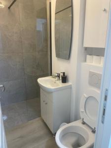 a bathroom with a toilet and a sink and a shower at Zlata Bucovina Apartment in Suceava