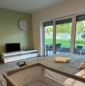 TV a/nebo společenská místnost v ubytování River Room