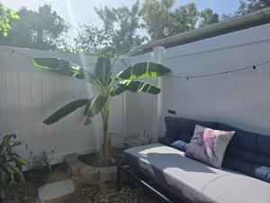 Zahrada ubytování Private Tropical MIL Suite by Busch Gardens & USF