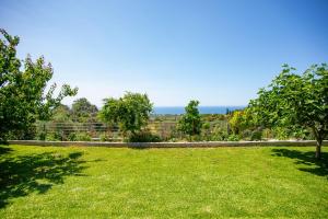 a view of a yard with grass and trees at Thea Home in Svoronata