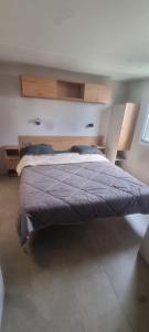 a bedroom with a bed with a blue comforter at Envie d'évasion in Fréjus