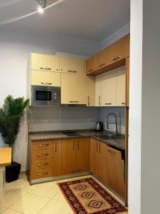 Kuchyň nebo kuchyňský kout v ubytování Hotel Kamomil