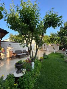 Vườn quanh HolidayHouse-Navodari +8 ảnh