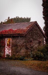 Bygningen som feriegården ligger i