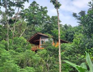 a tree house in the jungle at MAYU PATANPI Amazon Lodges in Tarapoto