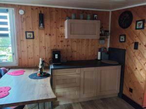 a kitchen with wooden walls and a counter top at Les abris de la hulotte in Anould