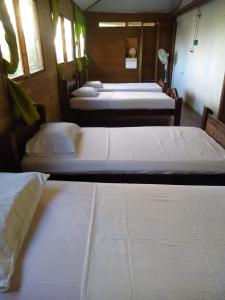 Casa Hotel Marly في سانتا مارتا: مجموعة من ثلاثة أسرة في غرفة