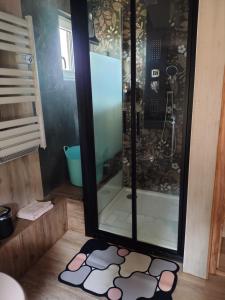 a shower with a glass door in a bathroom at Les abris de la hulotte in Anould +22 photos