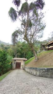 a building with a tree in the middle of a road at Toca do Dino - casa aconchegante com vista, lareira, piscina e área kids in Miguel Pereira