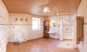 une salle de bains avec toilettes et lavabo dans l'établissement FERIENHOF KATZENMAIER, Bauernhof- und Familienurlaub am BODENSEE, großzügig wohnen, MESSENAH und teils BARRIEREFREI, Spielangebot für drinnen und draußen, Parkplatz am Haus, gute ÖPNV-Anbindung, à Friedrichshafen 58 autres photos
