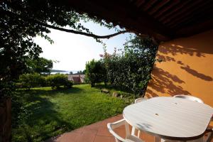 A garden outside Porto Coda Cavallo Salina Bamba
