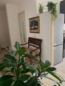 a living room with a chair and a plant at A casa di paola in Naples