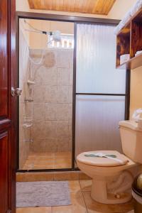 un bagno con doccia e WC e iteratore di Beautiful Casa Aire near Lake Arenal in Nuevo Arenal - Casas Airelibre a Nuevo Arenal Altre 31 foto
