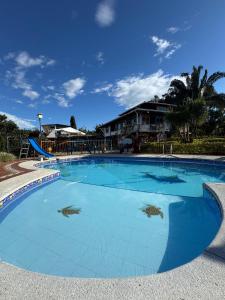 Бассейн в Finca Hotel El Bonsai или поблизости