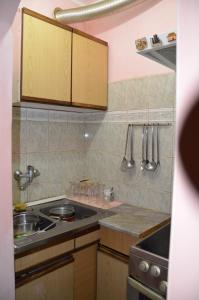 A kitchen or kitchenette at Lux Apartment