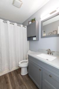 a bathroom with a toilet and a sink and a mirror at Modern Condo Central Huron Boat Basin Area in Huron +38 photos