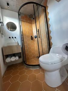 ハルディンにあるCasa linda jardínのシャワー、トイレ、洗面台を備えたバスルーム