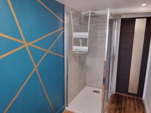 a shower with a glass door in a bathroom at Gîte Authentique au Pied des Monts de Flandres avec Jardin et Spa (en Supplément) - FR-1-510-16 in Oudezeele +25 photos