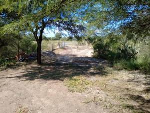a dirt road with a tree in the shade at Cabaña El Tata in Termas de Río Hondo
