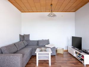 TV a/nebo společenská místnost v ubytování Wohnung in Battenberg nahe Winterberg Skigebiet, cleaning included