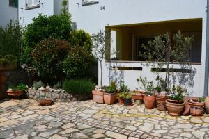 a bunch of potted plants in front of a building at Apartment Silva in Kornić