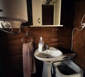 a bathroom with a white sink and a mirror at Dunavski Raj in Belgrade