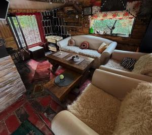 a living room with a couch and a table at Dunavski Raj in Belgrade