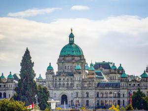 Zajímavé místo poblíž apartmánu