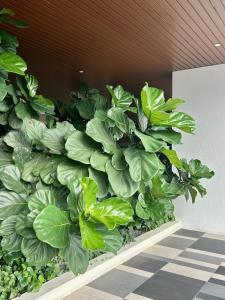 a retaining wall with green plants in a building at KL Central 31st floor KLCC view in Kuala Lumpur +10 photos
