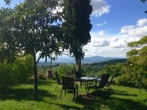 un tavolo e sedie seduti sotto un albero nell'erba di Fattoria La Tavernuzza a Grassina