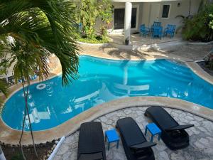 ein Swimmingpool mit Stühlen und einer Palme in der Unterkunft blue angel 4 in Playa del Carmen