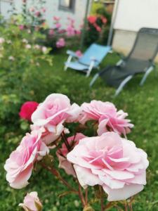 Giardino di ꕤ Comfy Home ꕤ - Make yourself at home