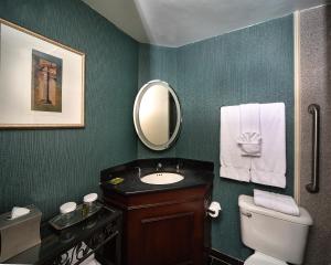 a bathroom with a toilet a sink and a mirror at The Whitehall Houston in Houston