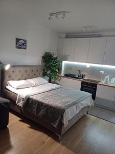 une chambre avec un grand lit et une cuisine dans l'établissement CENTRAL City, à Trebinje