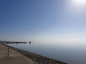 un bacino d’acqua al centro di Ferienhaus J7 a Butjadingen