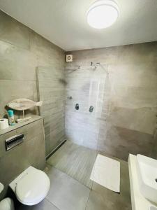 a bathroom with a shower and a toilet and a sink at Beachy Seaside Serenity in Umdloti