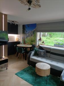 Posezení v ubytování Apartament Zacisze w Białym Dunajcu, Sauna, Kominek, Bezpłatny parking