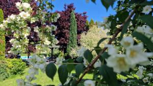 ヴィソコにあるResidence Green Pool & SPAのギャラリーの写真